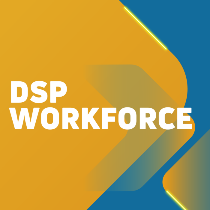 New DSP Workforce Dashboard