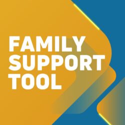 Standardized Family Support Tool Update:  New Focus on Respite